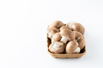 Royal mushrooms in eco-friendly paper packaging. Plastic is free. Healthy food.