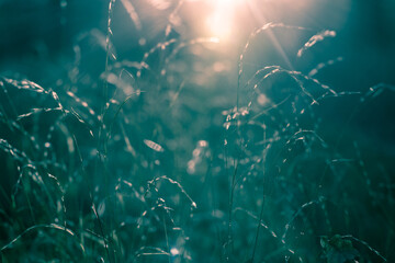 sun rays in the glass