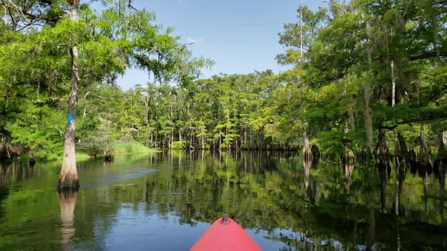 Summer kayaking on Fisheating Creek, Florida on tranquil afternoon 4K.