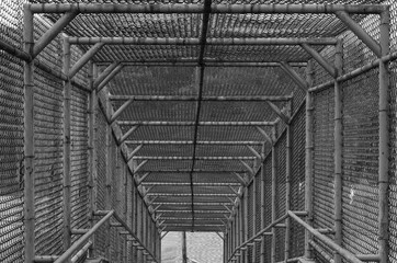 Fence Caging leading to street black and white empty photograph