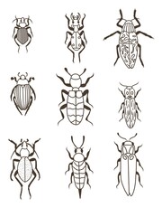 Set of bugs. Coloring page 