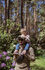 Father with daughter walking in forest. Little girl sitting on 
shoulders.
