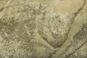 Background grey old rusty plastered wall