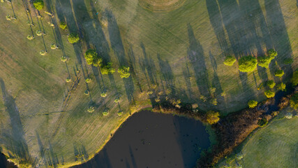 Drone view of a field with colorful trees and a beautiful surrounding nature