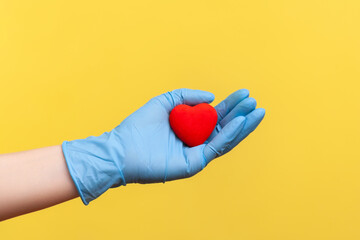 Profile side view closeup of human hand in blue surgical gloves holding small red heart shape in hand. indoor, studio shot, isolated on yellow background.