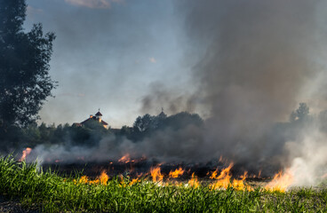 Fototapeta na wymiar The grass burns in a meadow. Ecological catastrophy. Fire and smoke destroy all life.