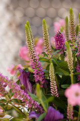 pink flowers in a bouquet in the evening sun