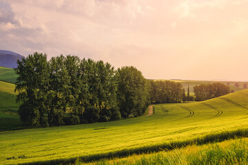 Obraz premium Turčianska kotlina, slovakia. Turčianske jaseno