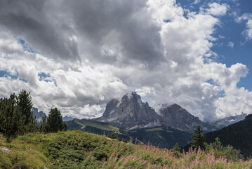 View of clouded Sassolungo with Sassopiatto mountain and Sella mountain group 
as seen from hiking trail on Col Raiser plateau above St. Cristina village, Gardena valley, Dolomites, South Tirol, Italy