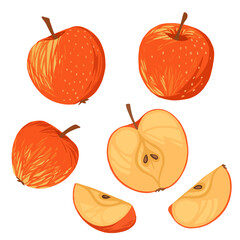 Seamless pattern of apples whole halved and sliced pieces flat vector illustration on white background