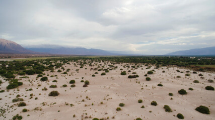 Aerial view of the arid desert, the sand and flora, under a cloudy sky.  