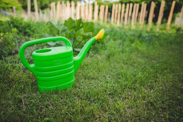 Fototapeta premium Green watering can in the garden