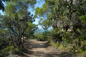Hiking trail near the summit of The Forts Walk with the mainland on the distant horizon, Magnetic Island, Queensland, Australia