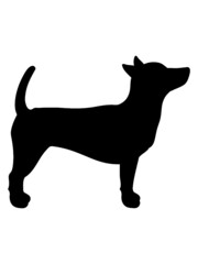 Silhouette Hund Umriss Schatten platz gehorsam rüde 