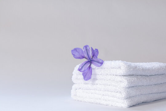 Two white neatly folded terry towels with a purple iris flower on a light background.