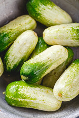 Baby cucumber on gray background