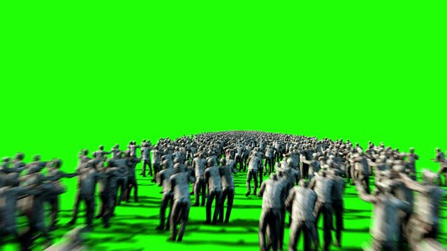 A large crowd of zombies. Apocalypse, halloween concept. 4K green screen animation.