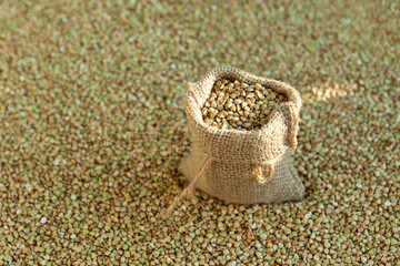 Green buckwheat in a bag on a background of natural organic grains. Selective focus, copy space