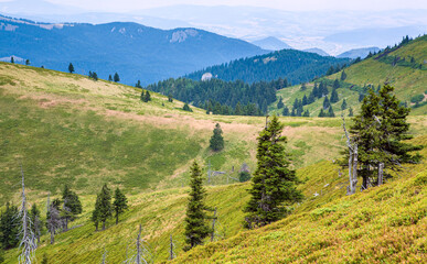 A beautiful landscape on the red mountain with a village on the horizon, fir trees and dead trees.