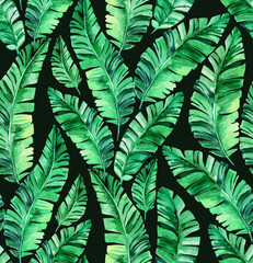 Seamless pattern with palm leaves.  - 360944669