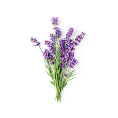 Lavender flowers and leaves bunch isolated