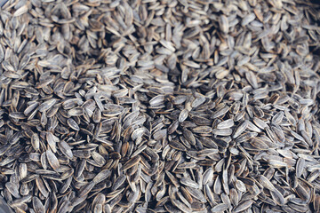 Dry roasted and salted sunflower seeds