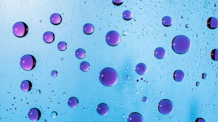 Colorful Purple Water Drops on a Glass Surface Wallpaper