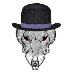 Wild rat portrait. Symbol chinese happy new year 2020.