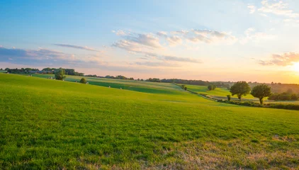 Foto op Plexiglas Grassy fields and trees with lush green foliage in green rolling hills below a blue sky in the light of sunset in summer © Naj