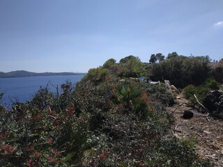 mar y árboles 