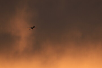 Fototapeta premium Flugzeug am Abendhimmel