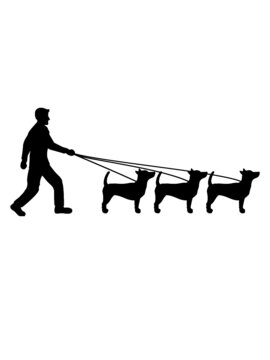 3 Hunde Gassi gehen Vierbeiner