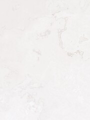 Monochromatic layout on solid sheet of wallpaper. Concept of home decor and interior designing
