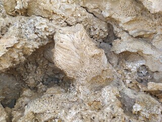 Naklejka premium Beach sones