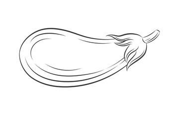 Eggplant vector isolated on white background. Engraved hand drawn illustration in retro vintage style. Organic Food, sauce, dishes component. Farm fresh ecological vegetables artwork.
