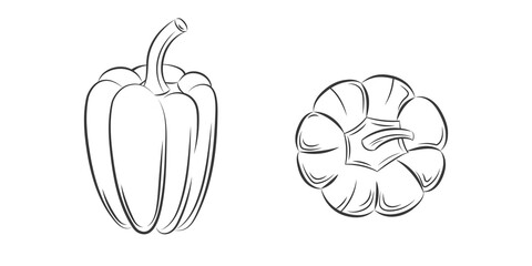 Pepper vintage engraving isolated on the white background. Vector hand drawn  illustration for poster, label, menu, web. Organic Food, sauce, dishes component. View from the top.