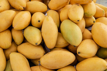yellow mango on the counter, street market in Thailand