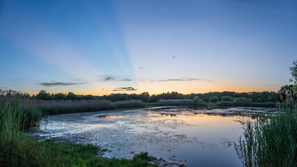 Fototapeta premium Pond Dusk Panorama