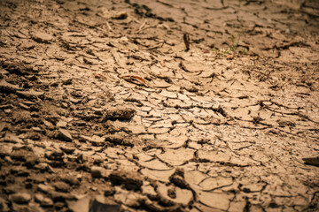 dried and cracked earth from thirst in summer heat, closeup. texture of dry soil, background. large plan.