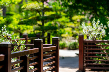 Fototapeta premium Nature path with wooden fence