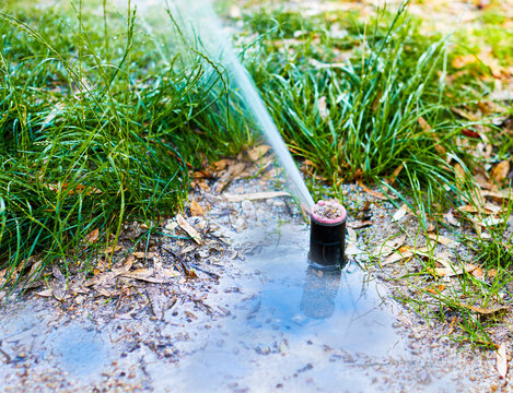 Irrigating a park with reclaimed water.