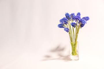 Blue flowers are on the white table 