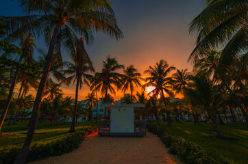 Obraz na płótnie Canvas sunset at the miami beach palm sun tropical summer usa 