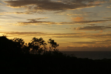 Fototapeta na wymiar Tropical nature against the backdrop of a beautiful golden sunset in Bali, Indonesia