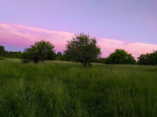 sunset over the field