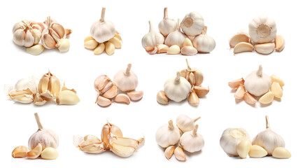 Many fresh garlic on white background