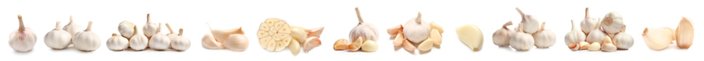 Many fresh garlic on white background