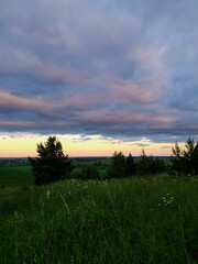 sunset over the field