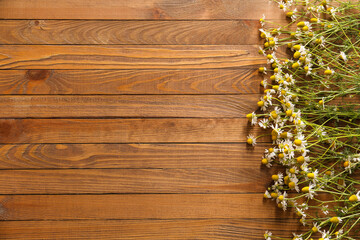 Fototapeta premium Fresh chamomile flowers on wooden background