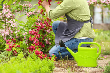 Male gardener with watering can in greenhouse
